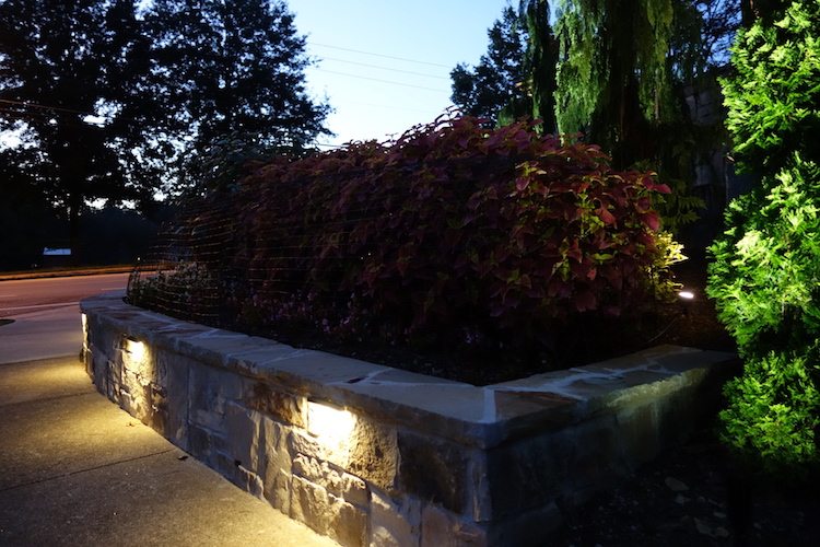 Flower Bed Lighting