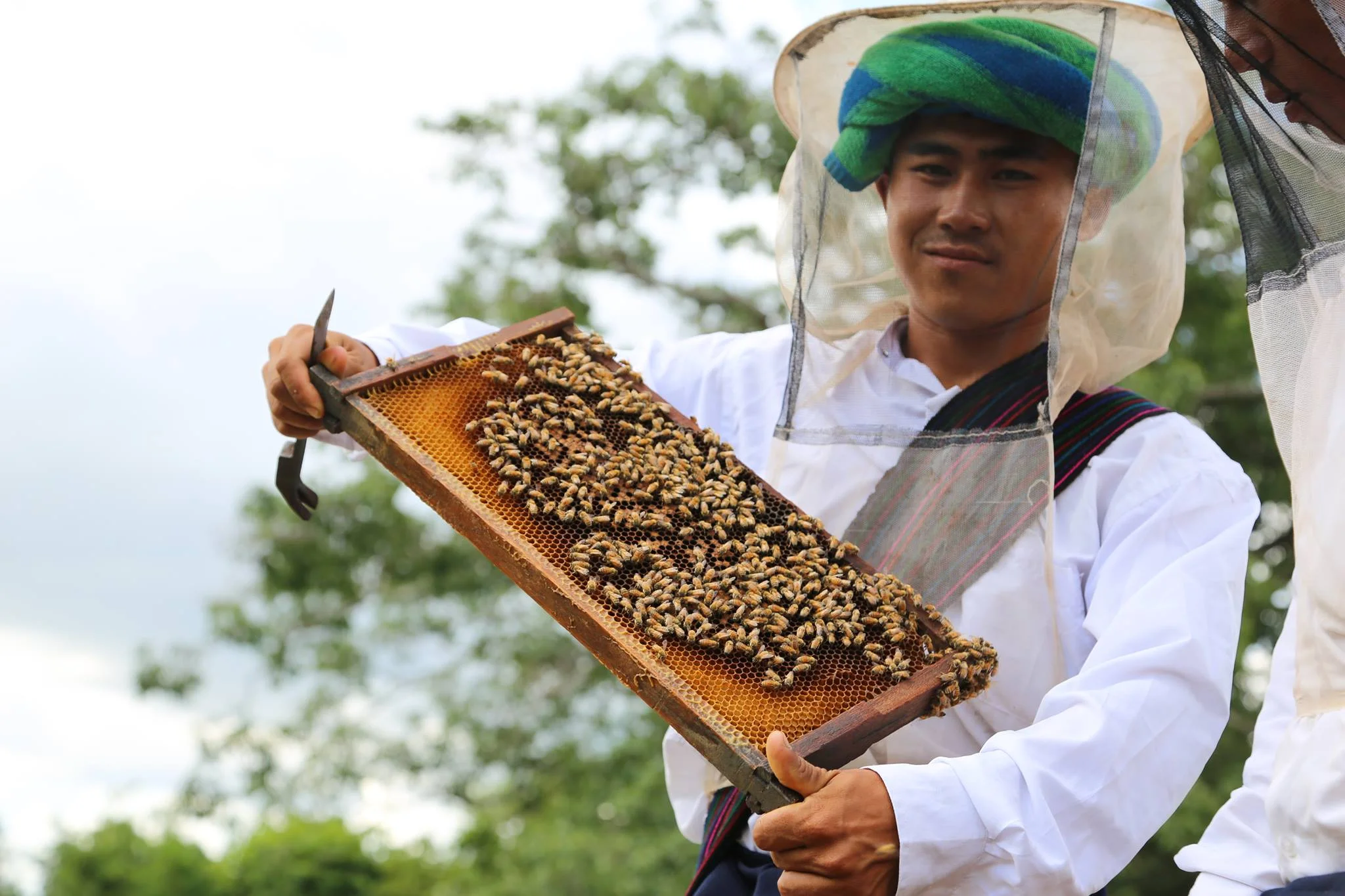Plan Bee Honey