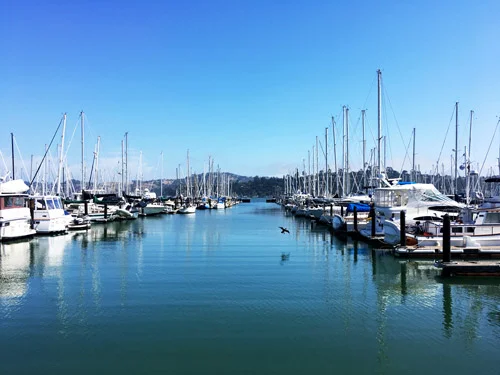 sausalito.jpg
