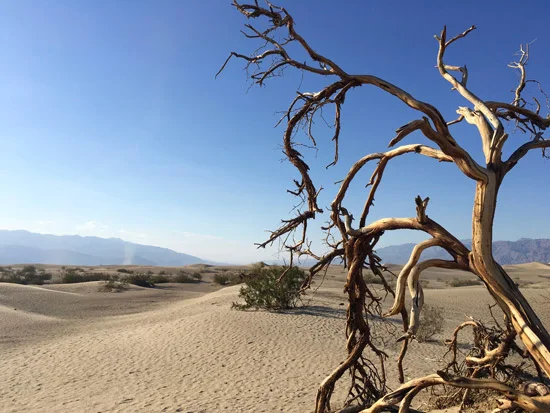 mesquite-flat-dunes-death-valley-1-giorno