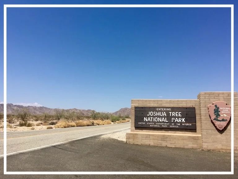 Come visitare Joshua Tree National Park (California) e cosa vedere