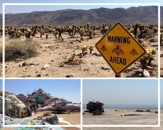 Salvation mountain, Salton Sea, Joshua Tree National Park (giorno 4)