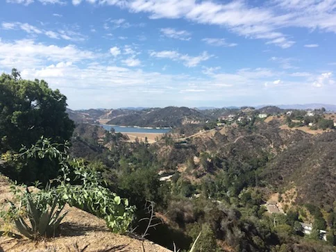 Strada collinare di Bel Air con ville 
