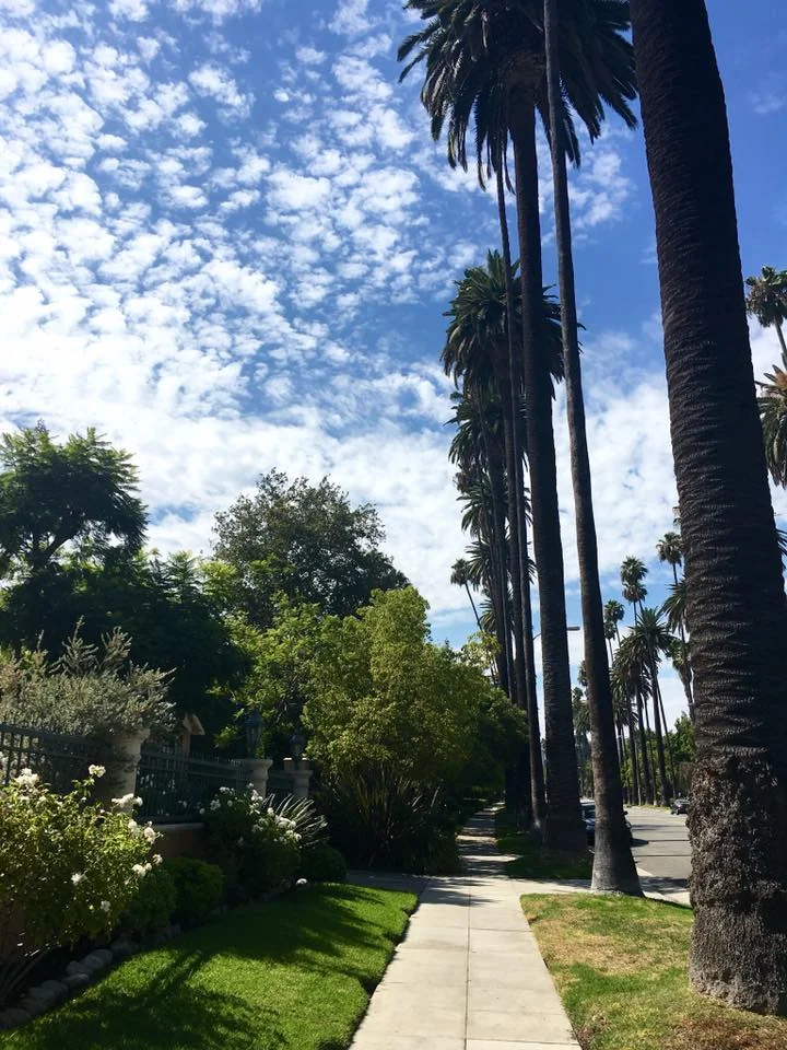 Palme e ville di lusso a Beverly Hills Los Angeles