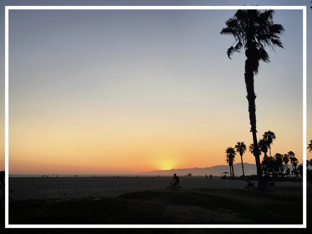 Venice, tra i luoghi d'interesse migliori da vedere a Los Angeles