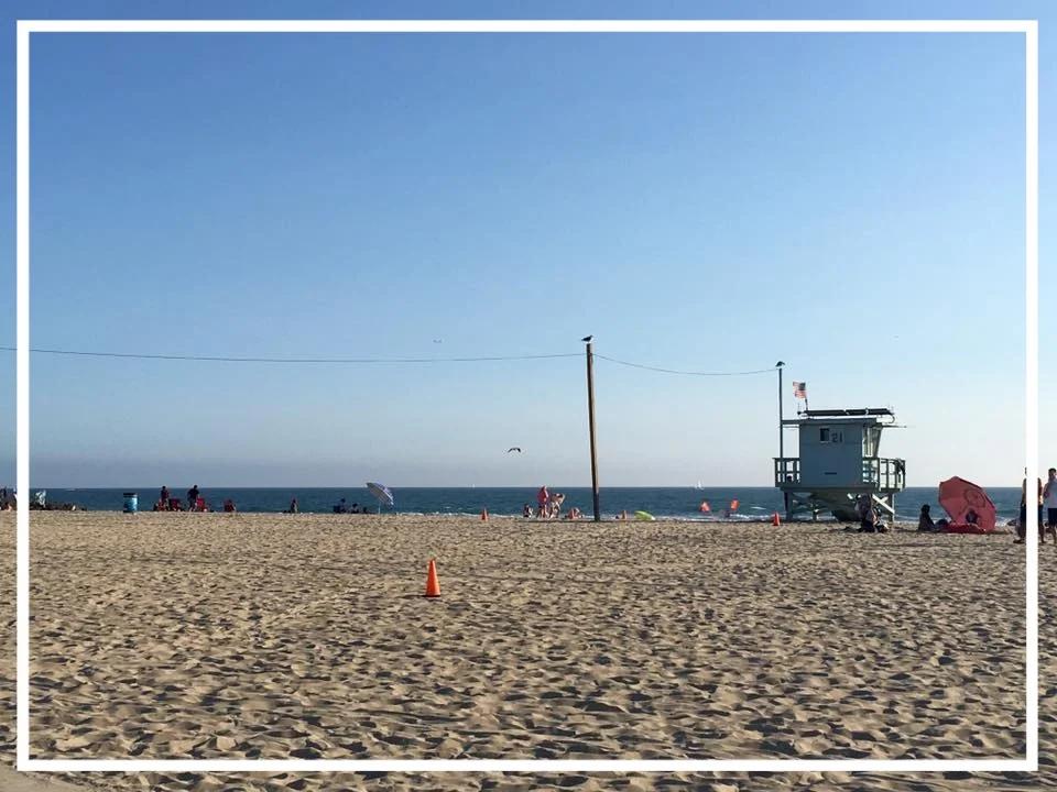 Cosa aspettarsi di vedere a Venice, Los Angeles (giorno 1)