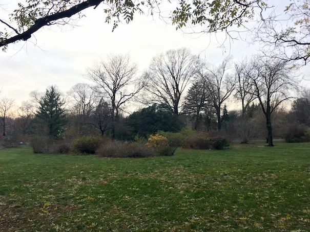 giardino botanico di brooklyn new york a piedi