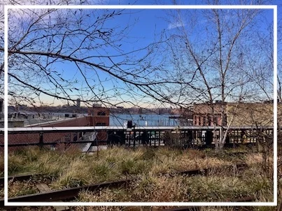 High Line Manhattan, New York: il progetto, la mappa, il percorso