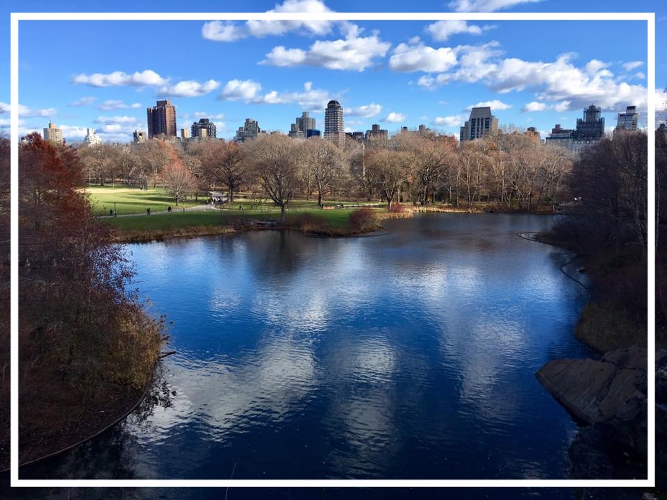 Diario di viaggio New York | Visita a Central Park e Top of the Rock