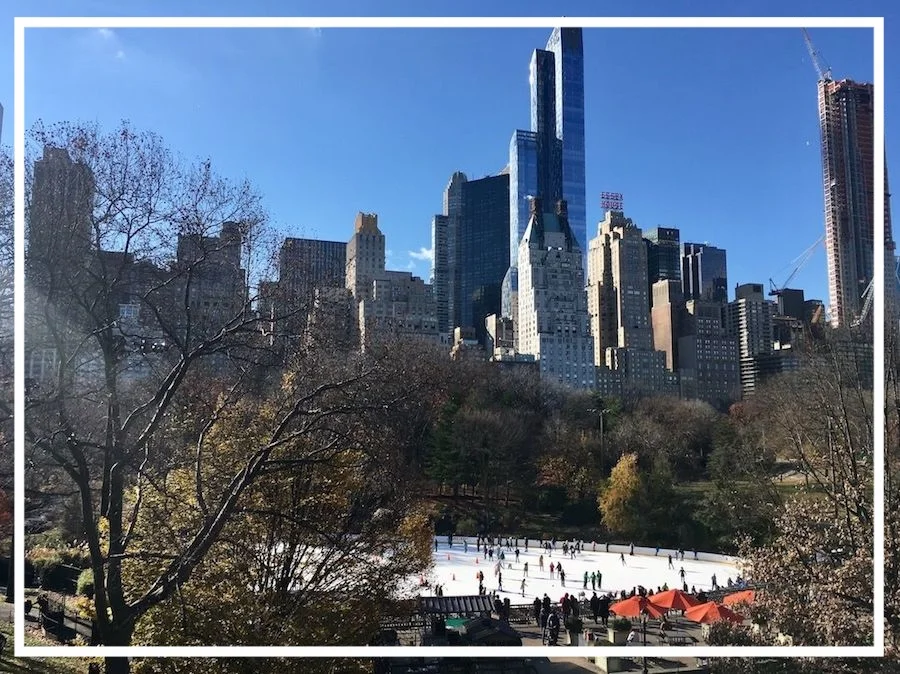 Visitare in bici Central Park a Manhattan, New York: cosa vedere