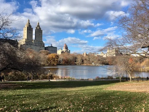 central-park-manhattan-new-york.jpg