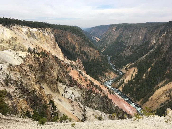 Visitare Yellowstone: cosa vedere nella regione del Canyon