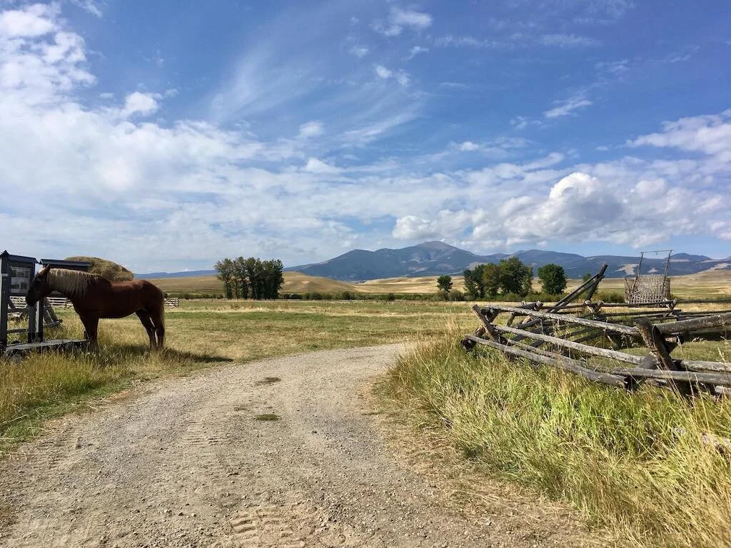 Diario di viaggio Ovest USA e Canada - On the Road nel Montana