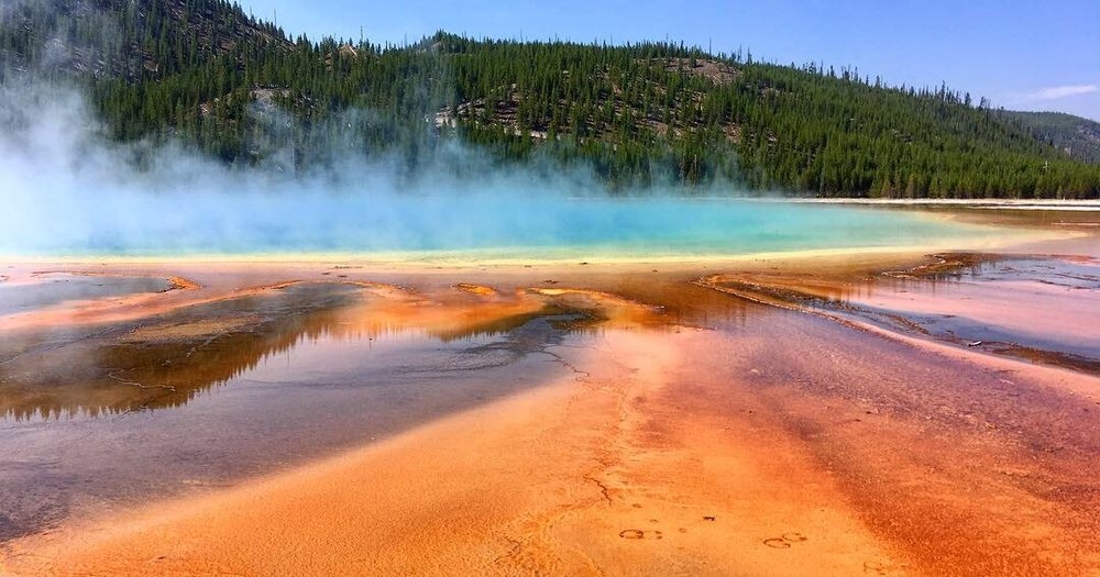 Curiosita 19 Cose Che Forse Non Sai Sul Parco Nazionale Di Yellowstone