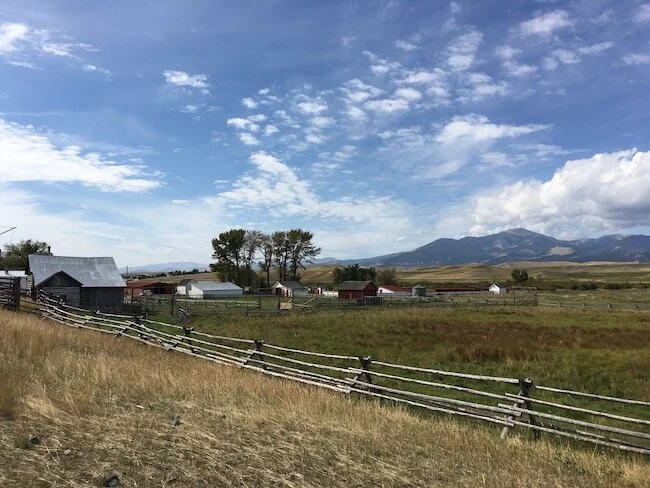 visita grant kohrs glacier dopo yellowstone