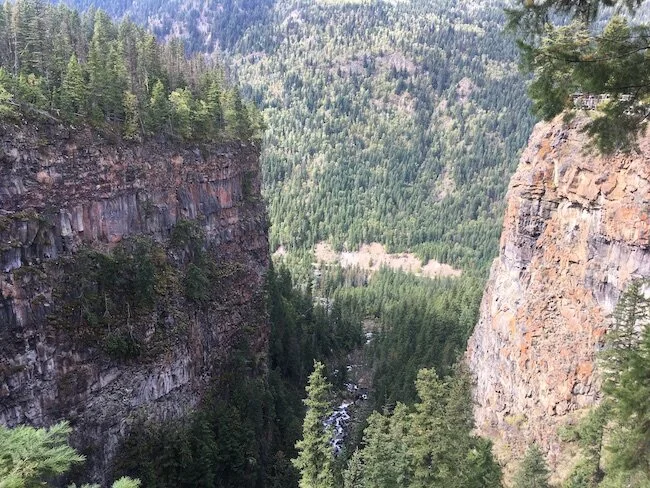 on the road wells gray provincial park