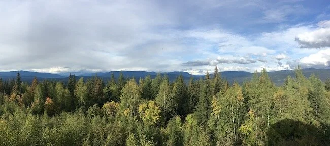 panorama wells gray on the road da jasper a vancouver