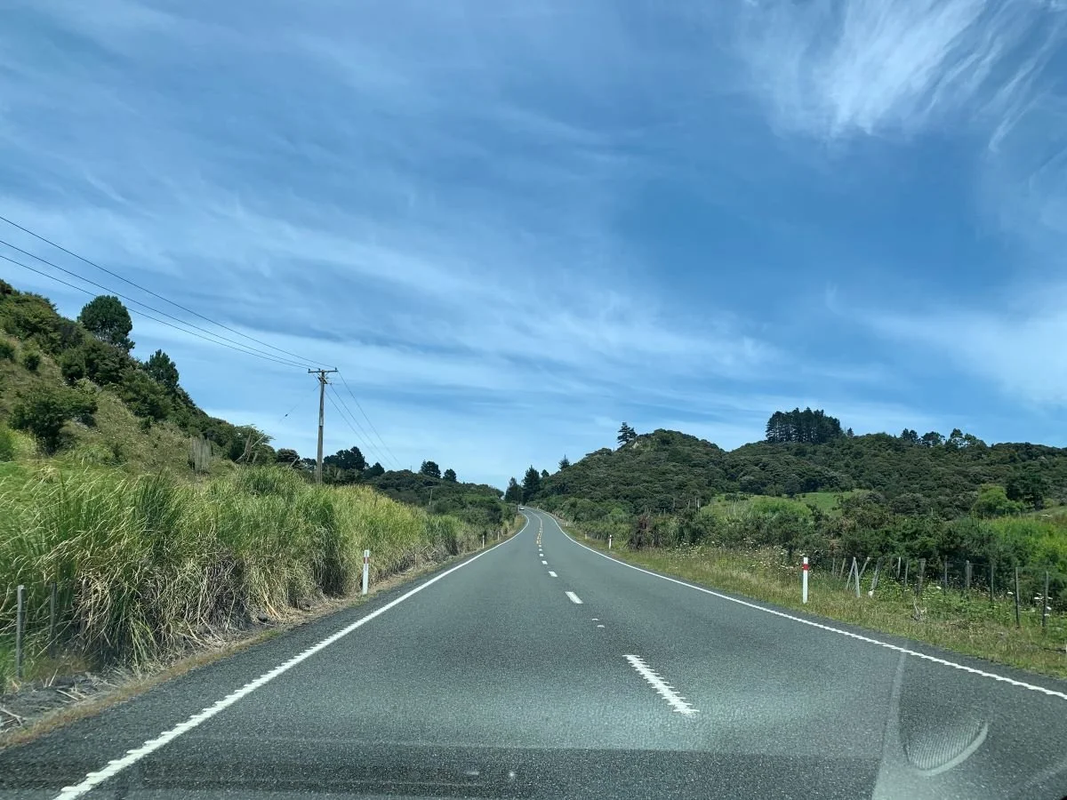 On the road Nuova Zelanda. Attrazioni tra Paihia e Auckland: cosa vedere