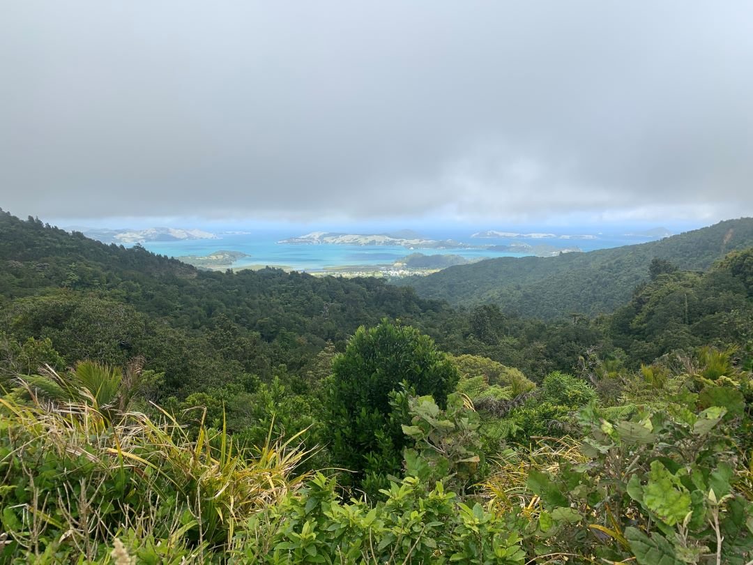 Cosa vedere in viaggio nella Penisola di Coromandel in Nuova Zelanda: guida turistica