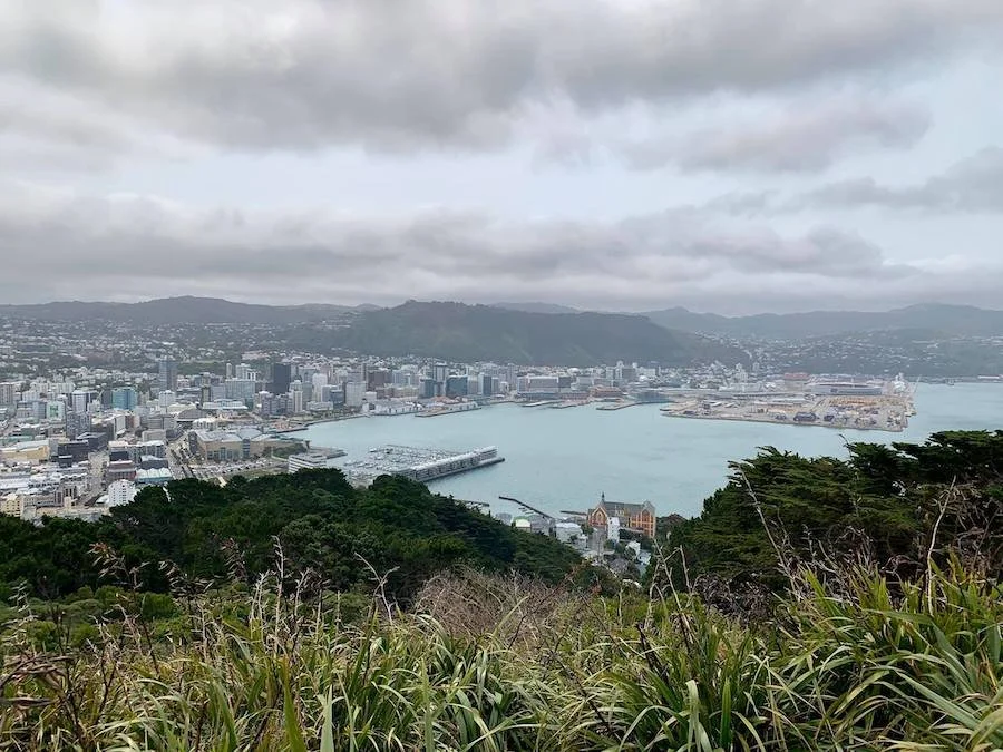 Diario di viaggio Nuova Zelanda | Verso l'Isola Sud passando per Wellington (giorni 9-10)