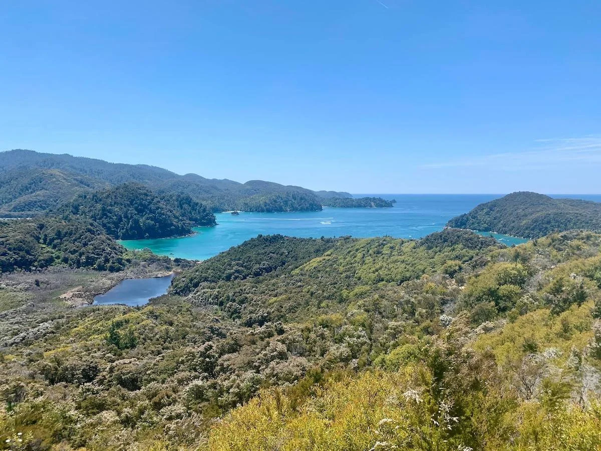 Cosa vedere e fare all'Abel Tasman National Park in Nuova Zelanda