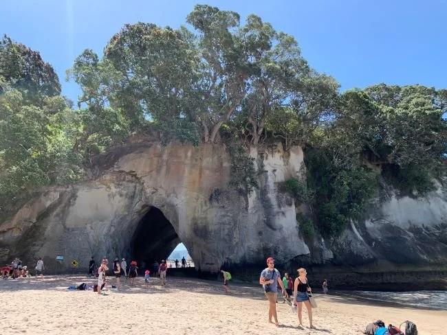cathedral-cove-cormandel-guida