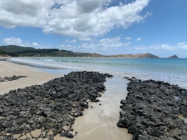 opito-bay-coromandel-nuova-zelanda