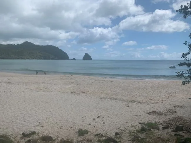 new-chums-beach-cosa-vedere-coromandel