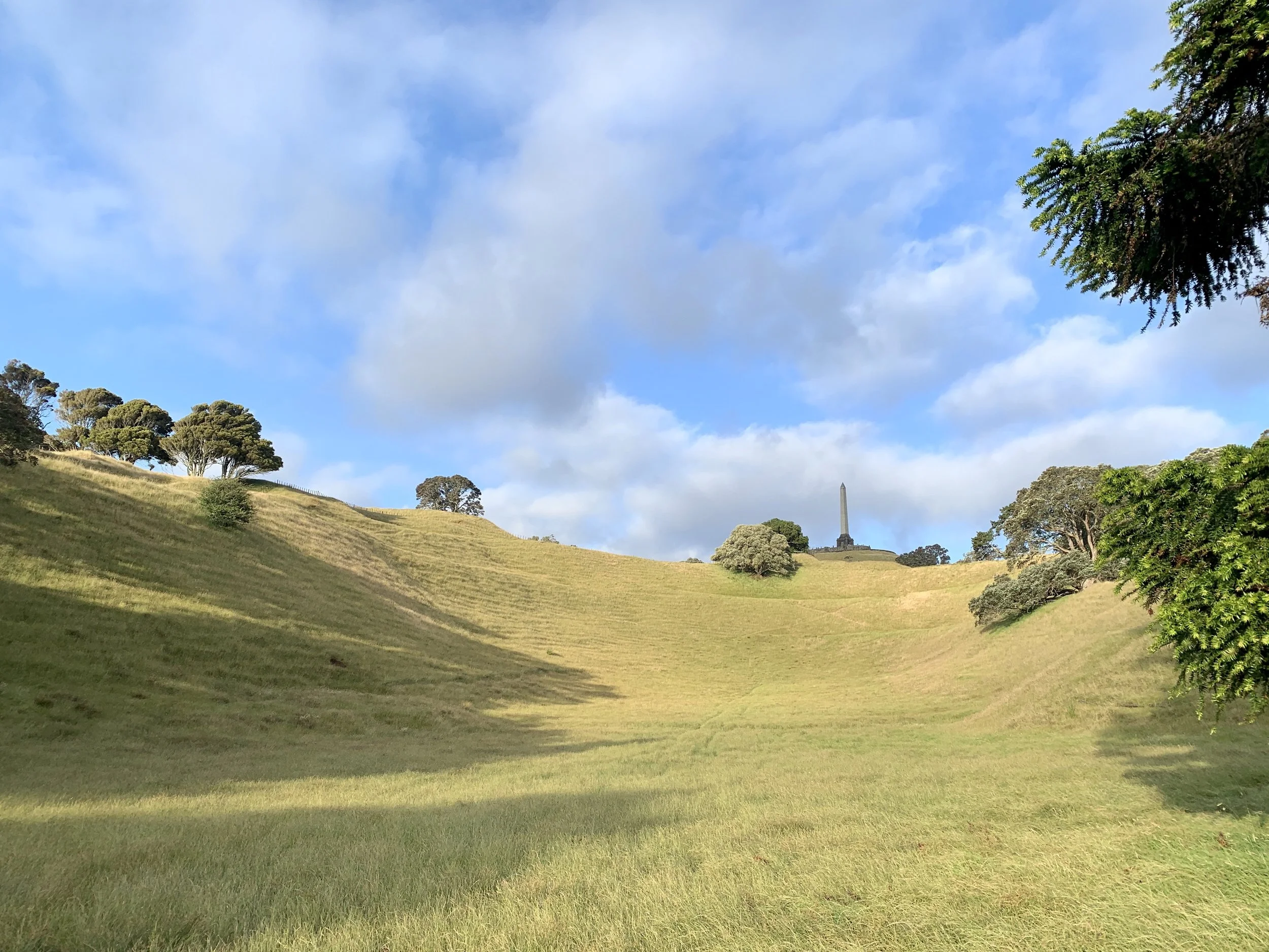 vedere-one-tree-hill-auckland