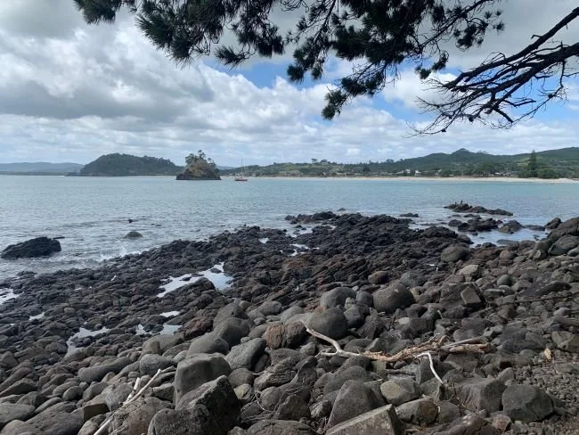 new-chums-beach-coromandel-sentiero