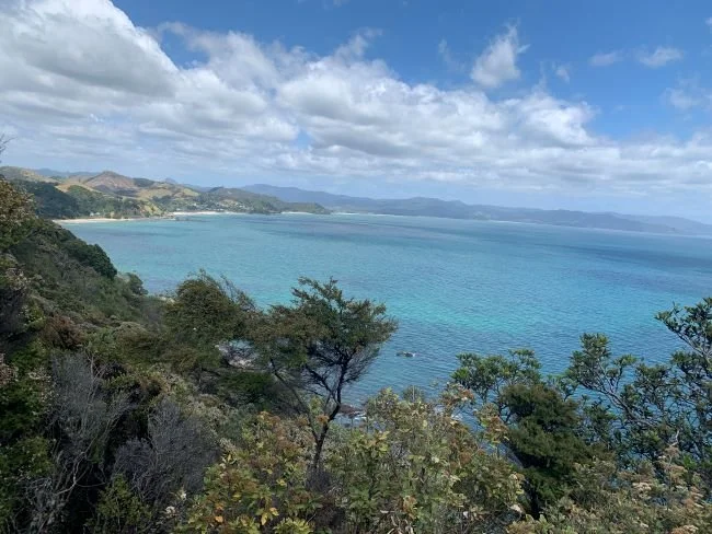 viaggio-nella-penisola-di-coromandel-nuova-zelanda