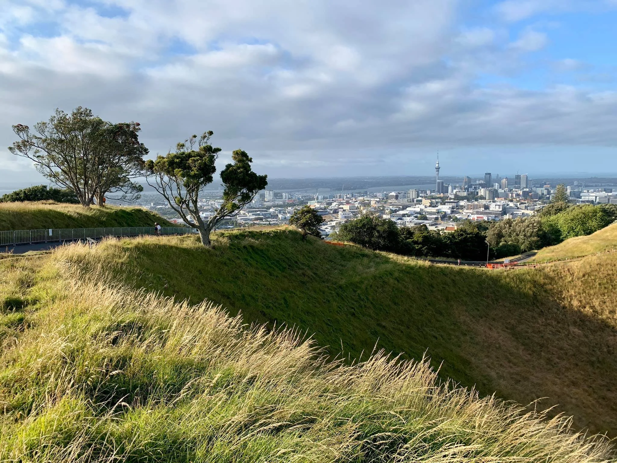 panorama auckland nuova zelanda