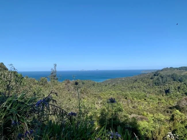 the-pinnacles-trekking-coromandel