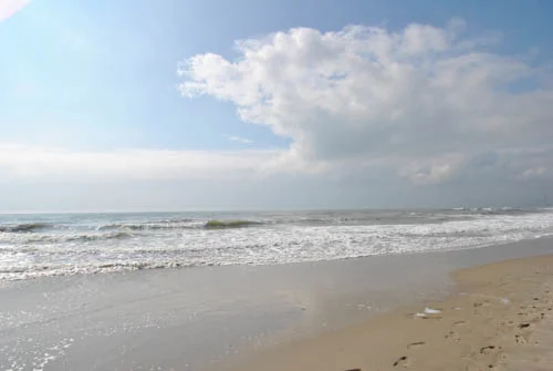 Wallops Island
