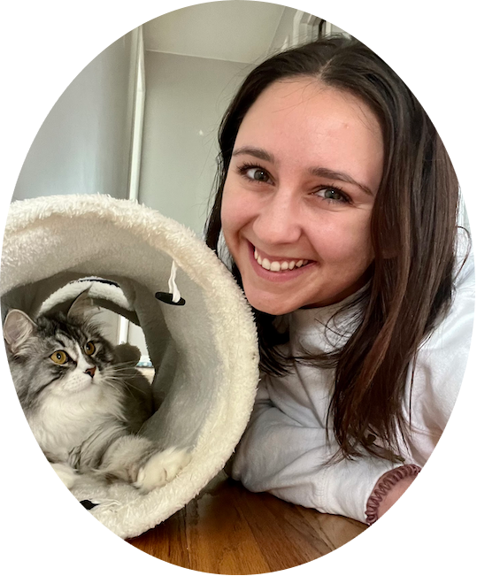 Denver Pro Pet Sitting Denver's Premier Pet Sitting, Dog Walking