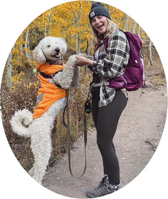 Denver Pro Pet Sitting Denver's Premier Pet Sitting, Dog Walking