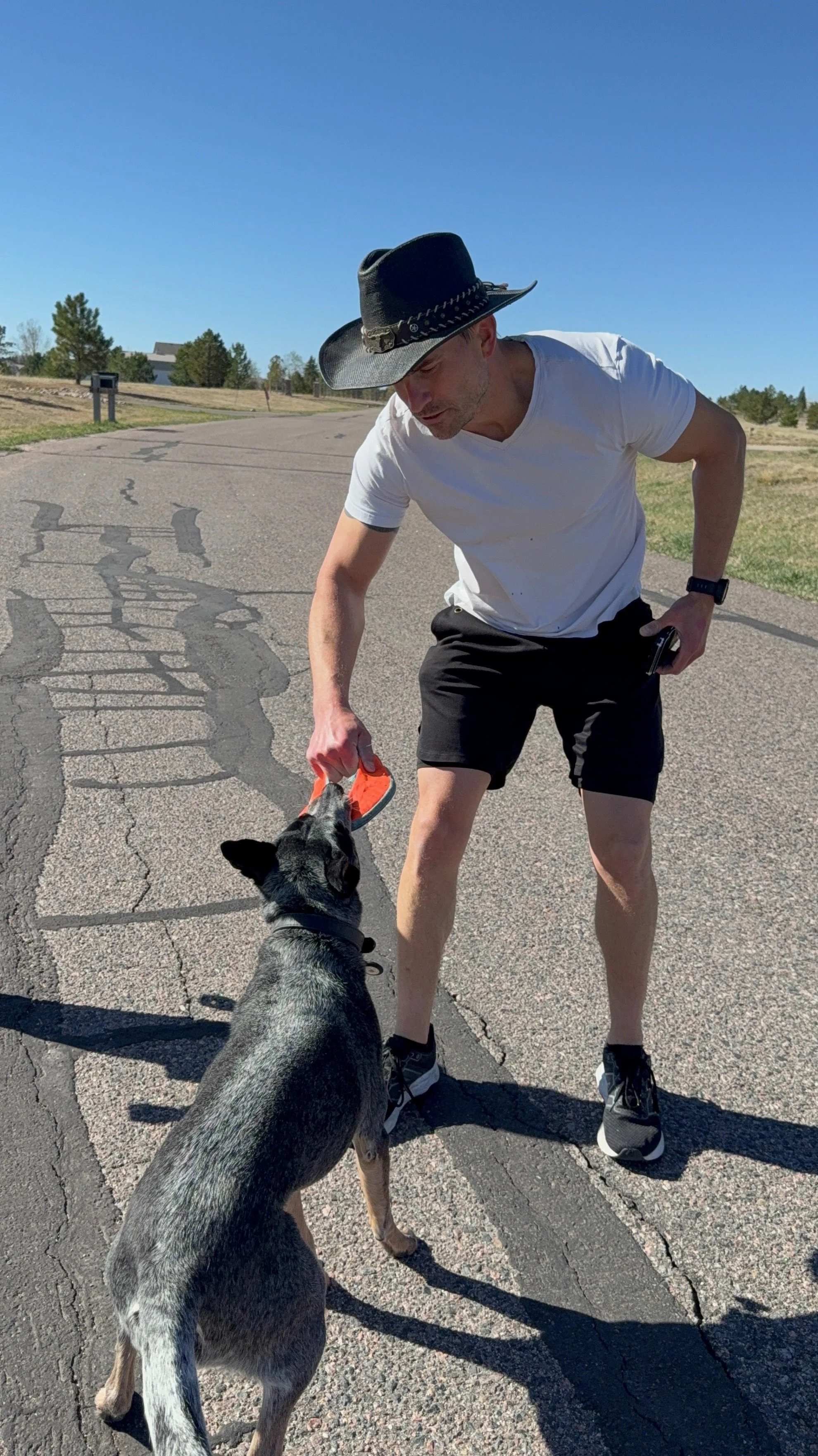 Why Your Pet Deserves a Professional (And Why We Pay Them Like One)