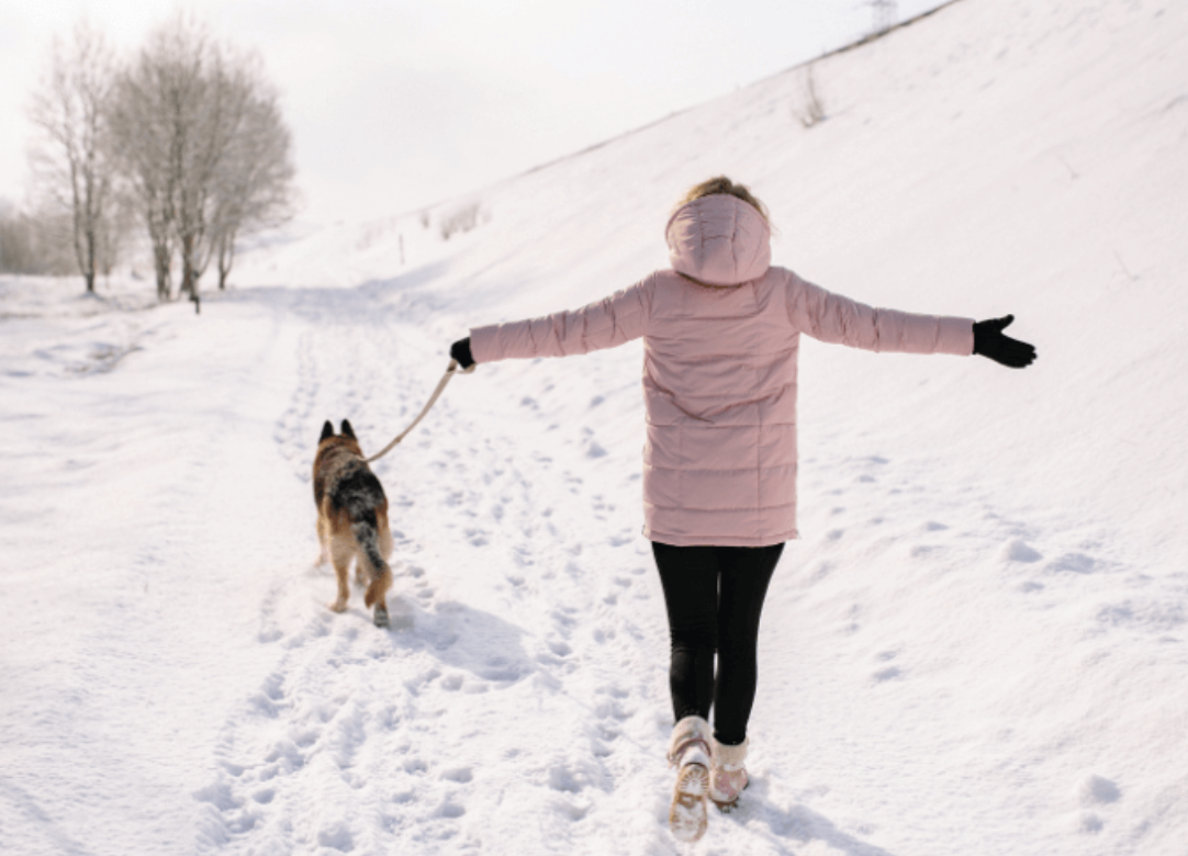 How Much Exercise Does Your Dog Need in Denver? A Local Guide by Breed, Age, and Weather