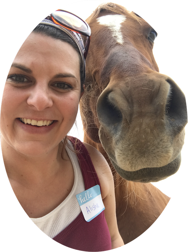 Denver Pro Pet Sitting Denver's Premier Pet Sitting, Dog Walking