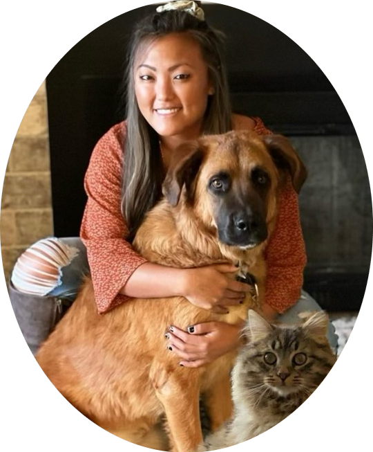 Denver Pro Pet Sitting Denver's Premier Pet Sitting, Dog Walking