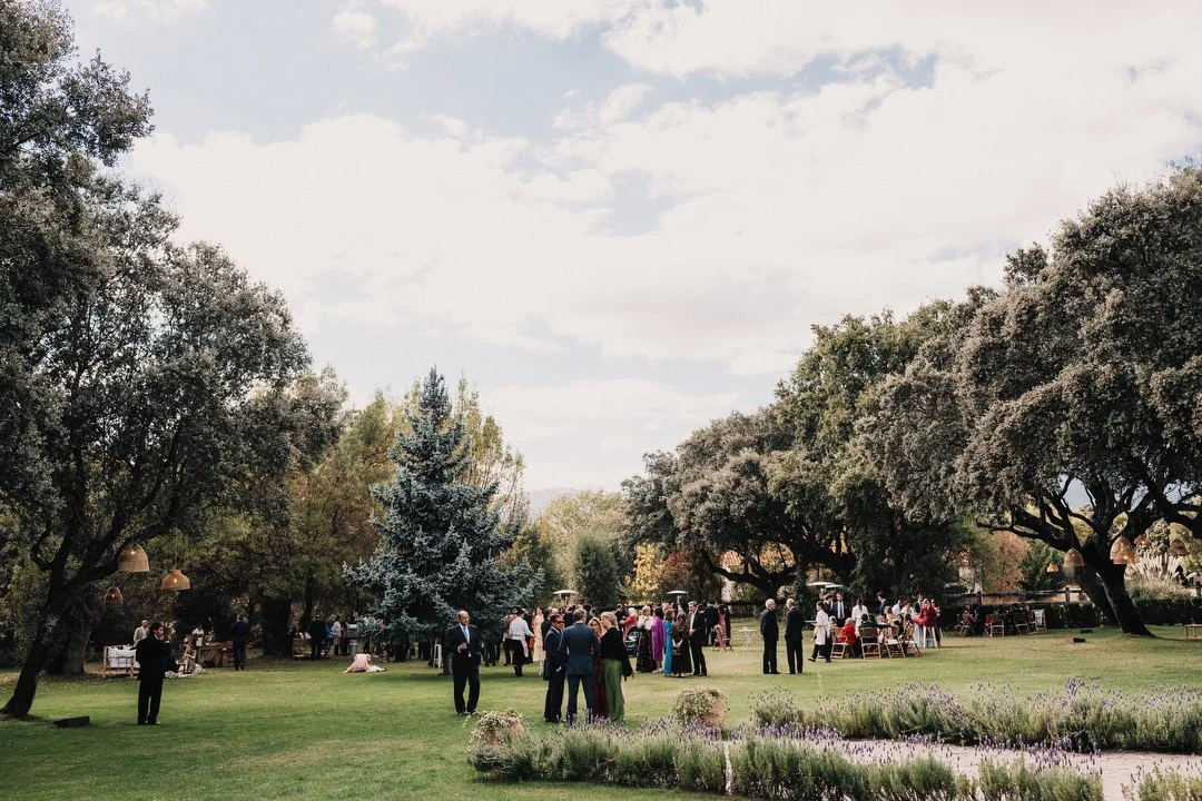 Boda Dehesa de Abantos 605.JPG