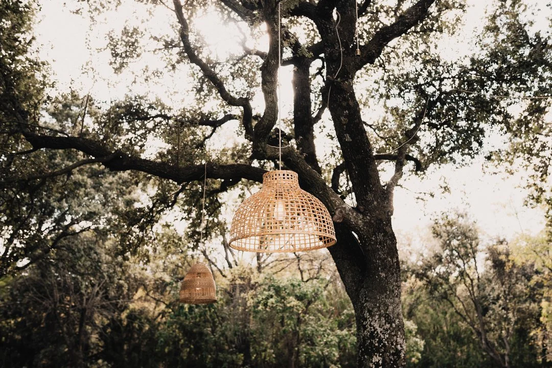Boda Dehesa de Abantos 623.JPG