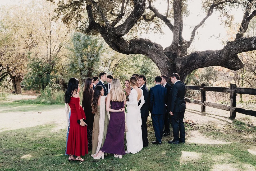 Boda Dehesa de Abantos 576.JPG