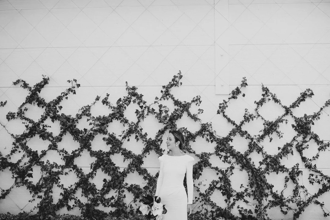 Boda Dehesa de Abantos 499.JPG