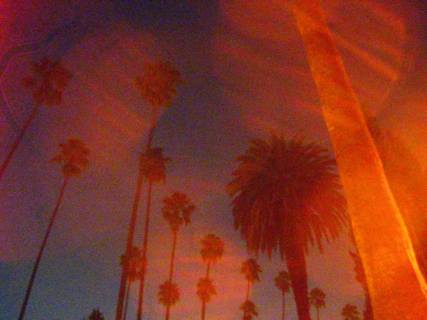 016_IMG_6515_WEB.jpg