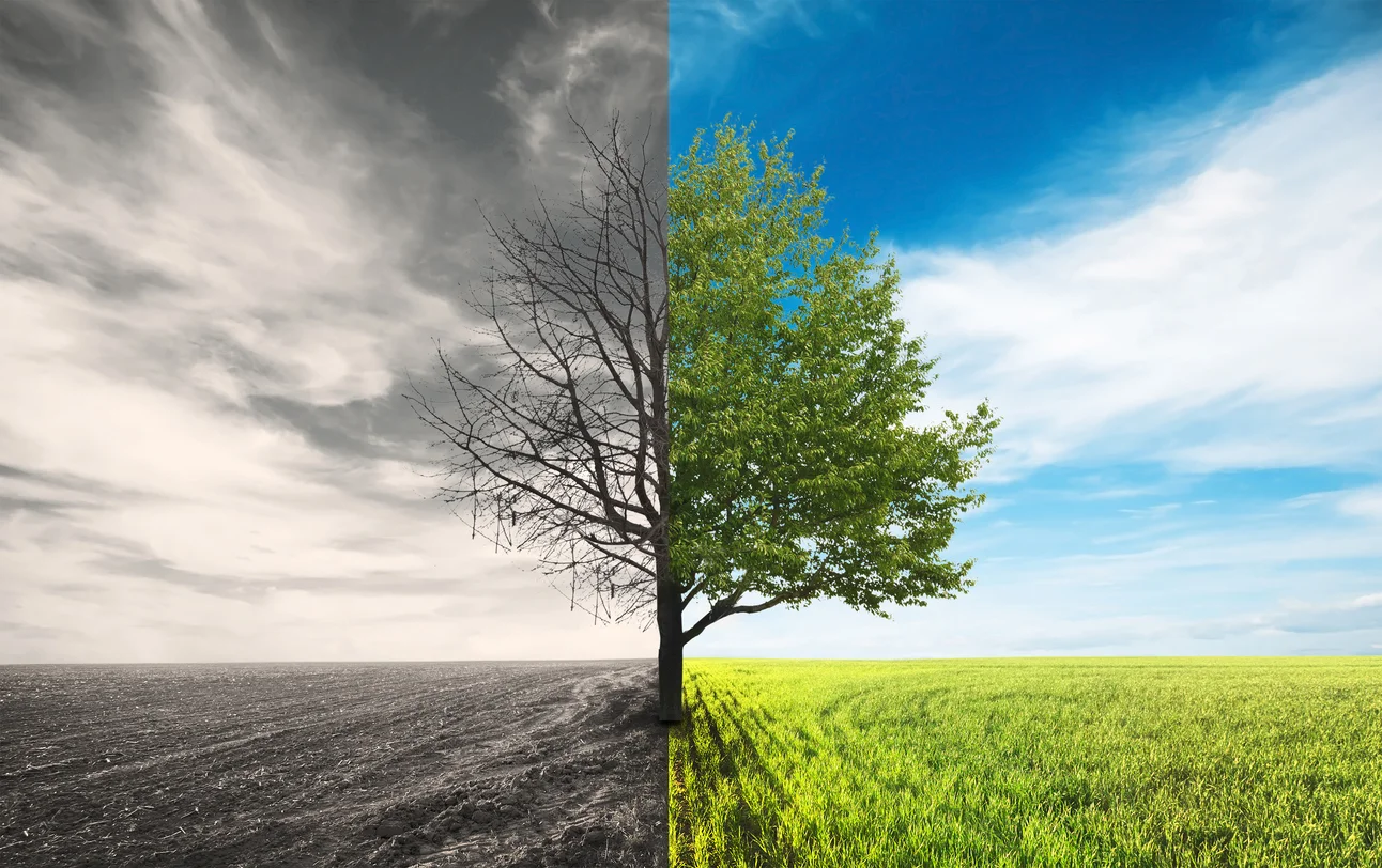 iStock-503276376.jpg