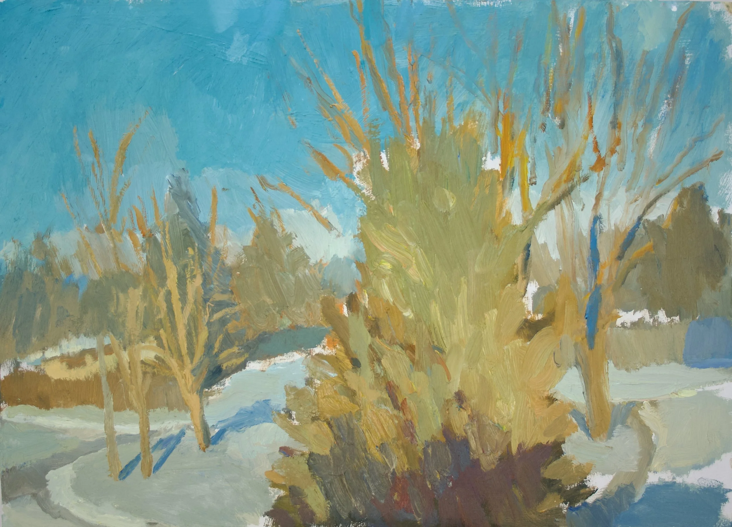 View from Studio Window