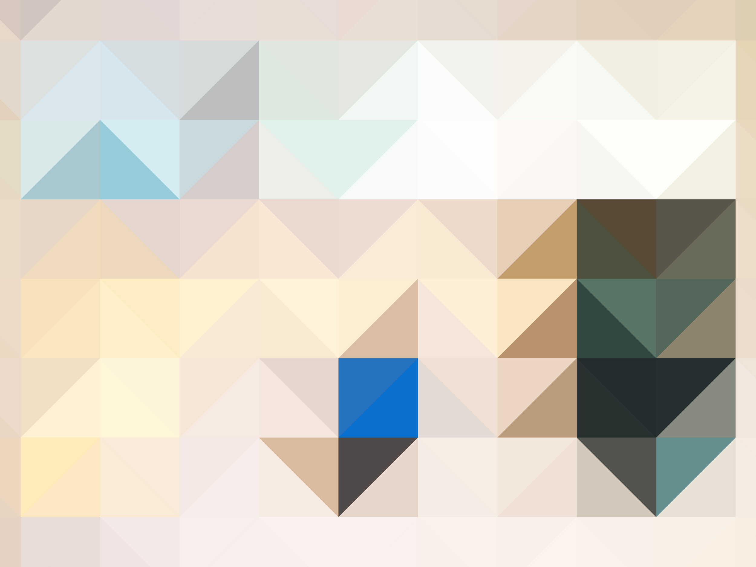 UBIQUITOUS COLOR-SHAPE (2).png