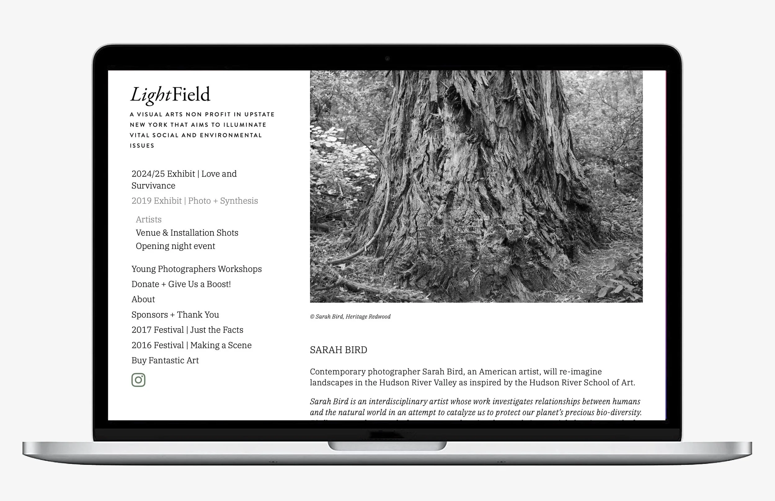 bijin website mockups2.jpg
