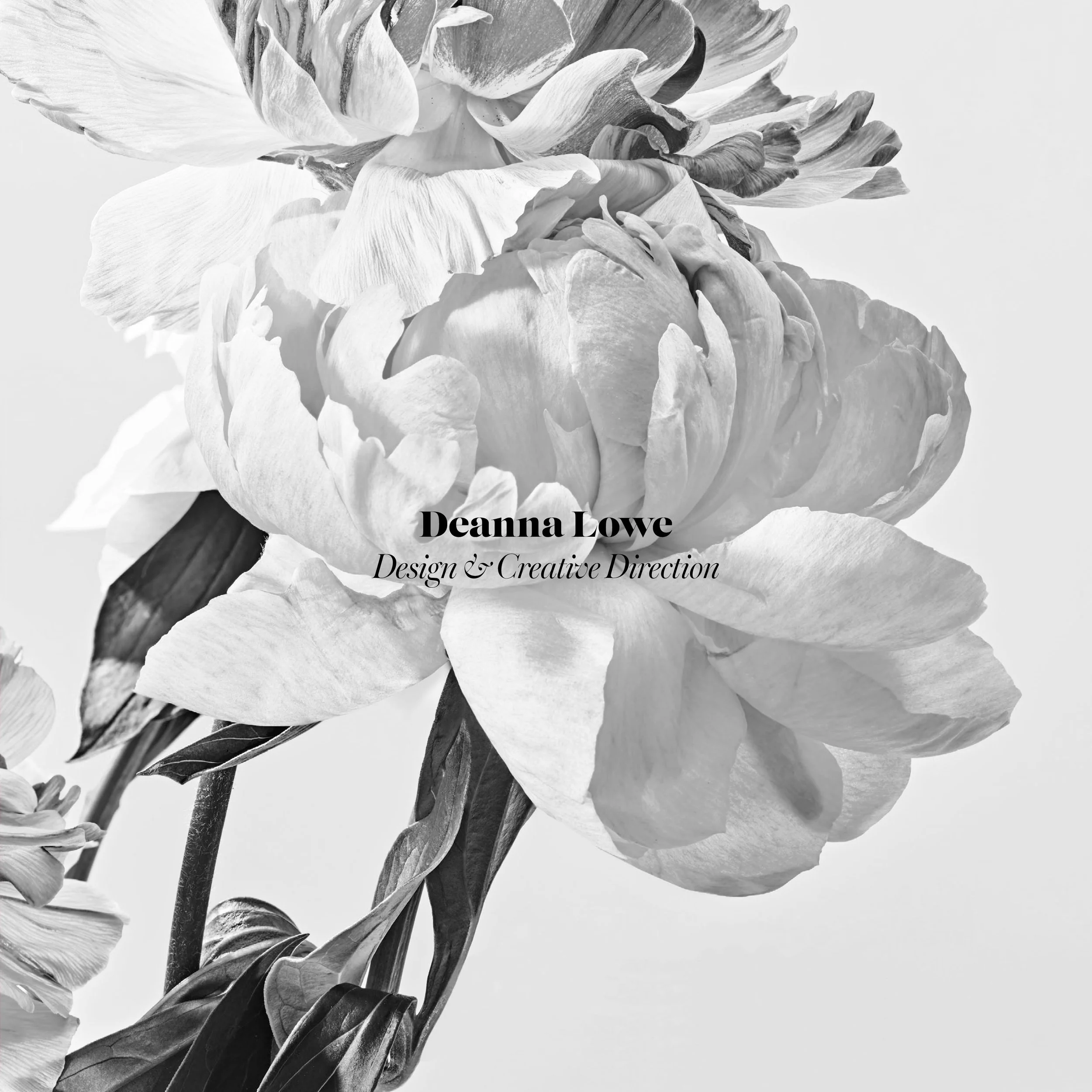 Deanna Lowe, Design & Creative Direction. Photography by Ted Cavanaugh, Styling by Heather Greene.